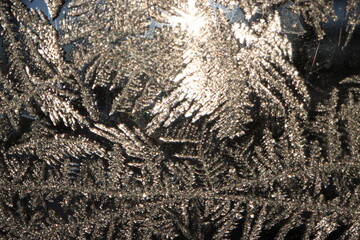 Winter Saskatchewan Scenery with animals, frost, fog, abandoned places, churches and more.