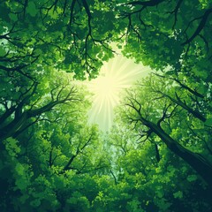 Sunlight filtering through a lush green forest canopy