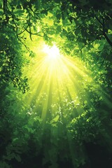 Obraz premium Sunlight filtering through lush treetops in a serene forest