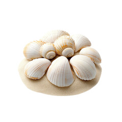 Seashells arranged in a flower shape on sand