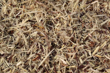 Ressources graphiques