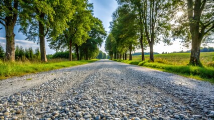 Fototapeta premium Gray gravel road with small pebble road stones and tree lines in a natural setting