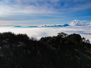 Mount Semeru and Mount Bromo, Indonesia active volcanoes, tower majestically in the distance, surrounded by a dramatic sea of ​​clouds. Silhouettes of trees serve as the foreground.