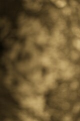 Vintage Sepia Hues: An Abstract Exploration of Light and Shadow Play