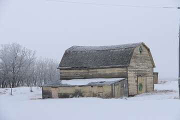 Winter Saskatchewan Scenery with animals, frost, fog, abandoned places, churches and more.