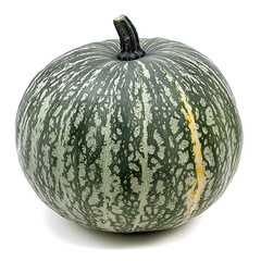 Vibrant Green and Cream Pumpkin Isolated on White