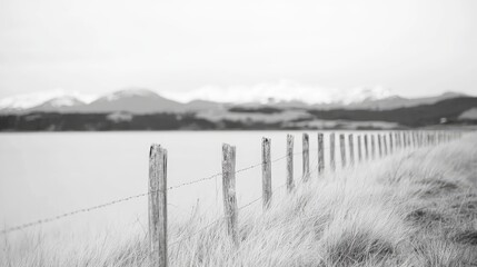 Fototapeta premium Wooden fence posts line a grassy field next to a calm lake with mountains in the background under an overcast sky.