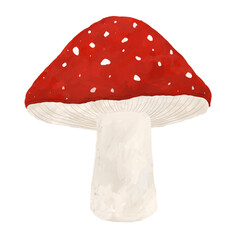 mushroom isolate on white background