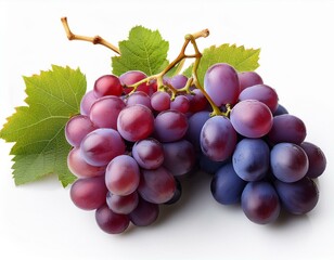 Fototapeta premium three bunches of ripe grapes with green leaves isolated on a white background