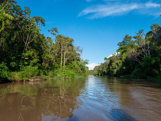 River landscape on a branch of the Amazon near the small town of Jutaí.