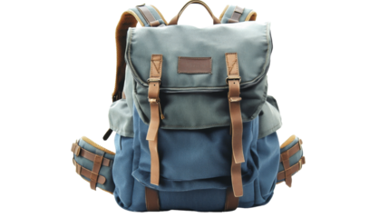 Stylish two-tone backpack on transparent background