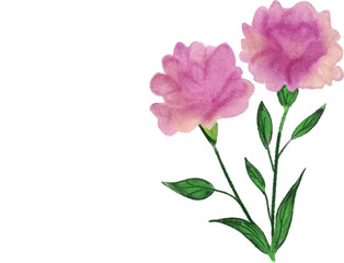 vector of beautiful flower in aesthetic vases, colorful vases, set of beautiful flowers and leaves