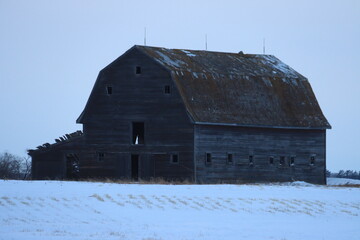 Winter Saskatchewan Scenery with animals, frost, fog, abandoned places, churches and more.