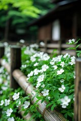 White Flowers Bloom by Wooden Fence in Garden