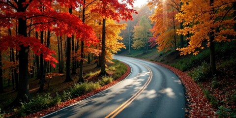 Autumnal Road Winding Through a Canopy of Vibrant Red and Golden Leaves