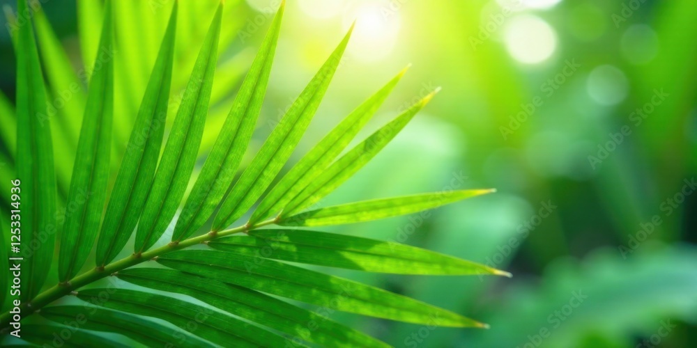 Poster Vibrant Green Leaf Close-Up Featuring Sunlight Illuminating Its Surface and a Soft Bokeh Background