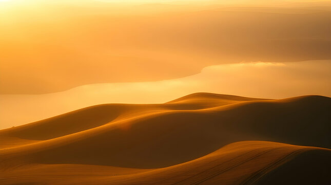 sand dunes in the desert