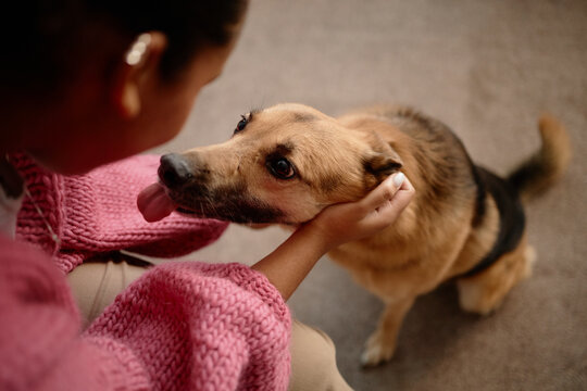 African American person gently petting dog with loving interaction Human wearing pink sweater and showing affection towards pet in warm setting
