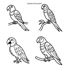 Parrot, Parrot on a branch, set of birds, vector set of birds, set of birds on a branch