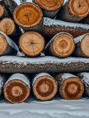 Fototapeta premium Stacks of logs in winter with snow covering them.