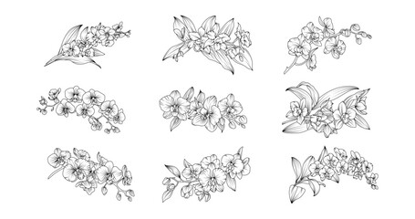 Orchid flower arrangement line art on white background. Silhouette orchid botanical hand drawn element for wedding, invitation frame design, vector illustration