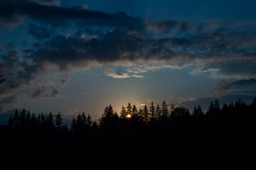 Obraz premium from the sun in the mountains spruce forest