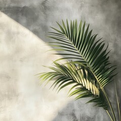 Palm frond sunlight textured wall background design