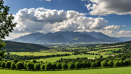 Naklejka premium Paysage champêtre sous un ciel nuageux