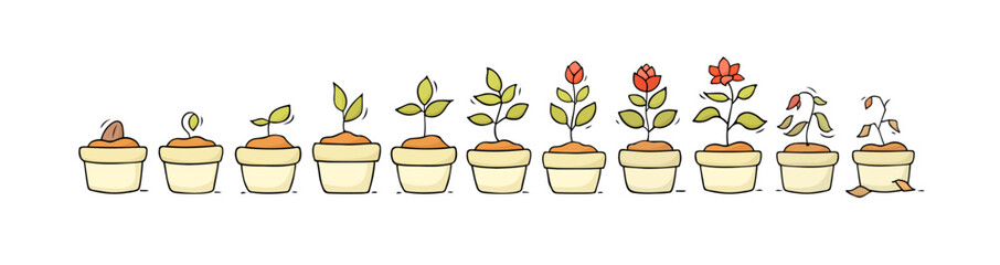 Plant growth from seed to sprout and flower. Doodle icons of process of houseplant growing in pot. Nature, garden, botany concept with stages of flower life, vector hand drawn illustration