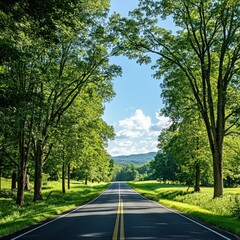 Fototapeta premium Scenic country road, trees, summer day, peaceful landscape, travel photography