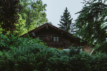 Domek w lesie © Mateusz