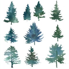 Obraz premium Watercolor evergreen trees; nature design element
