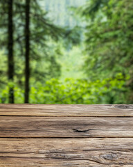 Wooden Table with Forest Background