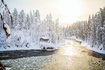 Frozen river in Oulanka National Park