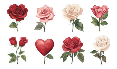 Spring, green leaves and blooming pink roses