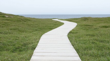 Coastal Pathway Winding Through Green Grass Towards Ocean