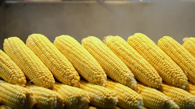 corn on the cob