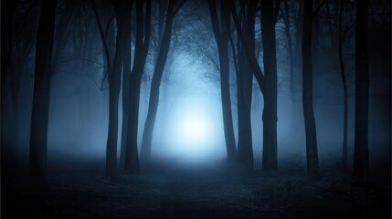 Forest background image showing a dark forest with tall trees and fog, illuminated by the soft glow of moonlight