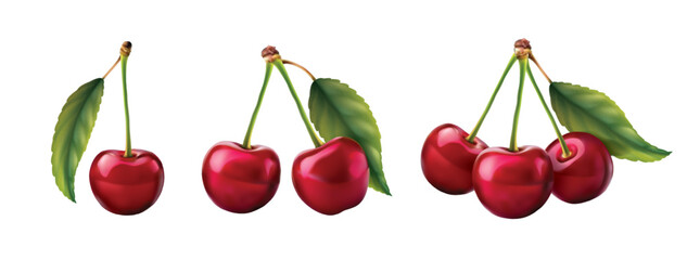 3d realistic vector icon illustration. Fresh red cherries with stem and leaf in one, two or three berries. Isolated on white background.