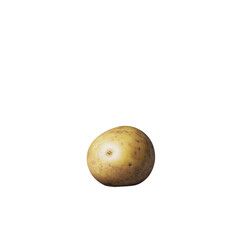 Fototapeta premium a potato on a white background with a shadow
