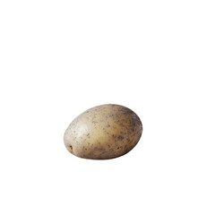 Fototapeta premium a potato on a white background with a white background