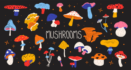 Set of different forest seasonal mushrooms toadstool, chanterelle, fly agaric, boletus . Colorful poisonous and edible mushrooms. Vector flat illustration in hand drawn style
