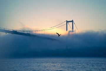 View of July 15 Martyrs Bridge (Bosphorus Bridge) with seagull and sunrise in fog clouds. A foggy view from the July 15 Martyrs Bridge in Ortakoy.