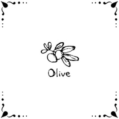 オリーブの線画のフレームのイラスト