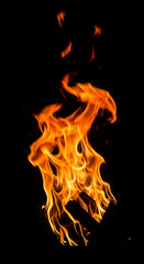 Obraz premium Fiery Passion: Embracing the Warmth & Energy of a Campfire's Dance in the Dark.??