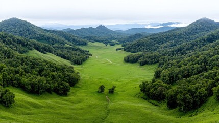 Fototapeta premium Panoramic Mountain Valley, Lush Green Grass, Misty Hills