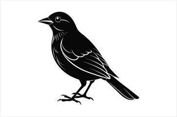 Obraz premium bird vector, icon vector illustration, bird silhouette of a bird isolated on a white background, eps, png, svg, vector,
