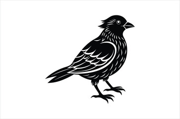 Obraz premium bird vector, icon vector illustration, bird silhouette of a bird isolated on a white background, eps, png, svg, vector,