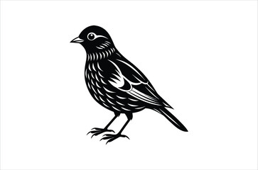 Obraz premium bird vector, icon vector illustration, bird silhouette of a bird isolated on a white background, eps, png, svg, vector,