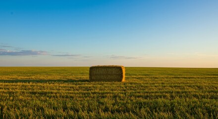 Fototapeta premium Hay Bale in Field at Sunset Under Blue Sky Scenery